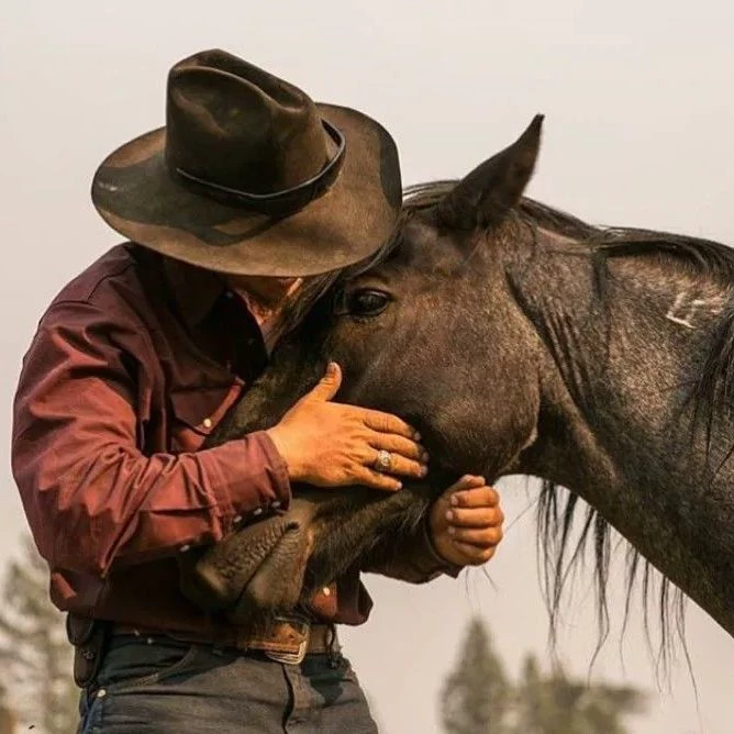 Sebastian (horse breeder)  thumbnail