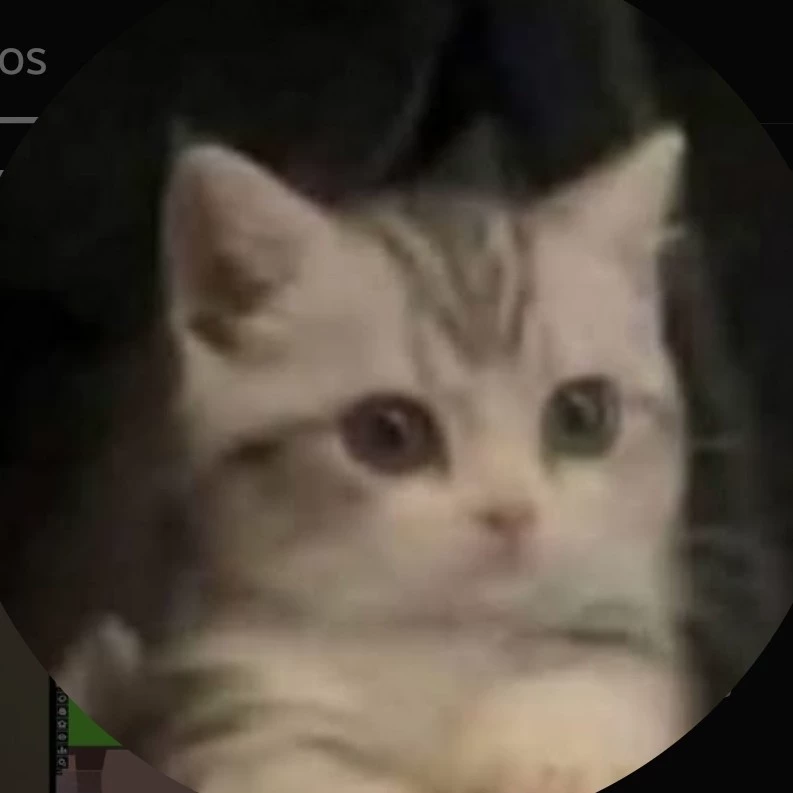 XD