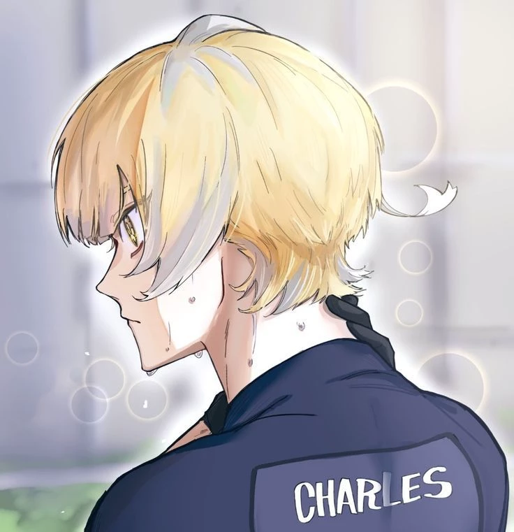 Charles Chevalier thumbnail
