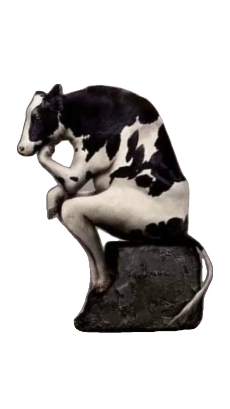 Cow Of Wisdom  thumbnail