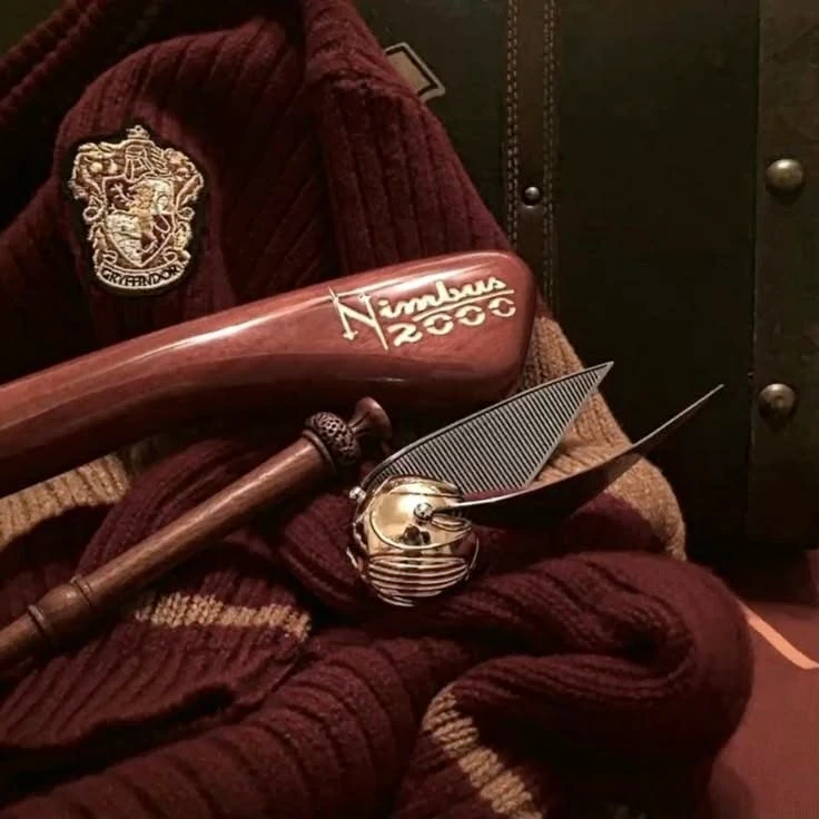 🌟🪐Hogwarts🪐🌟 (year 4) thumbnail
