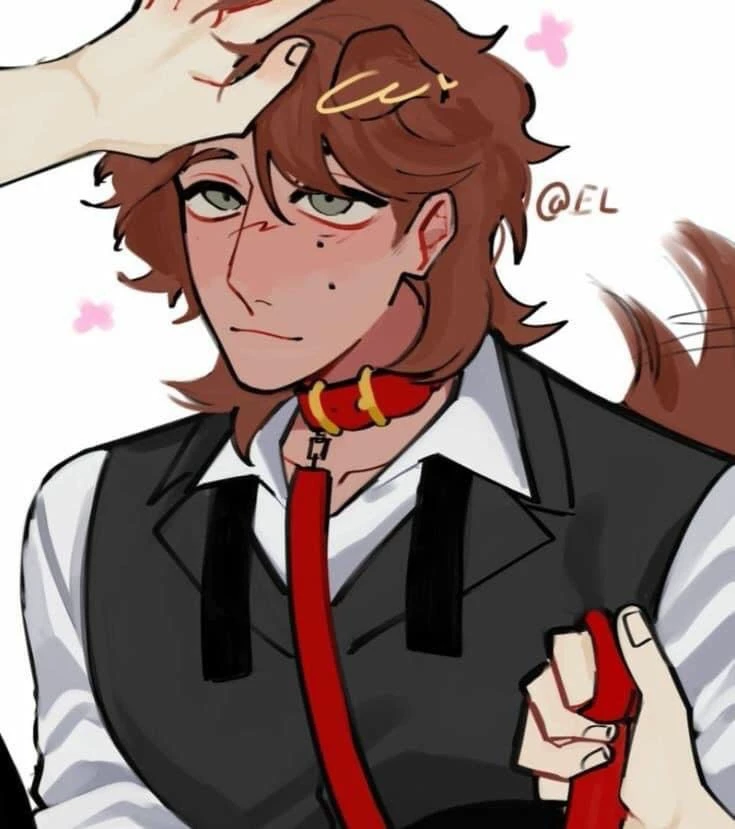 Rody - dog in heat thumbnail