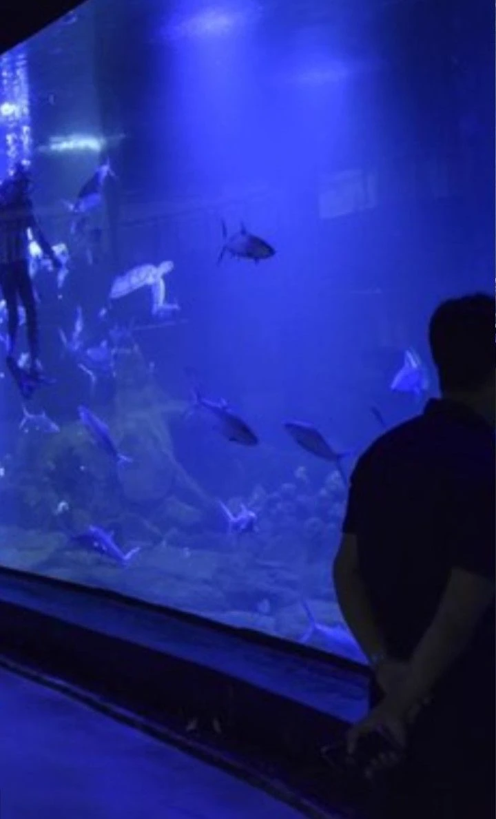 ★♦aquarium♦★ thumbnail