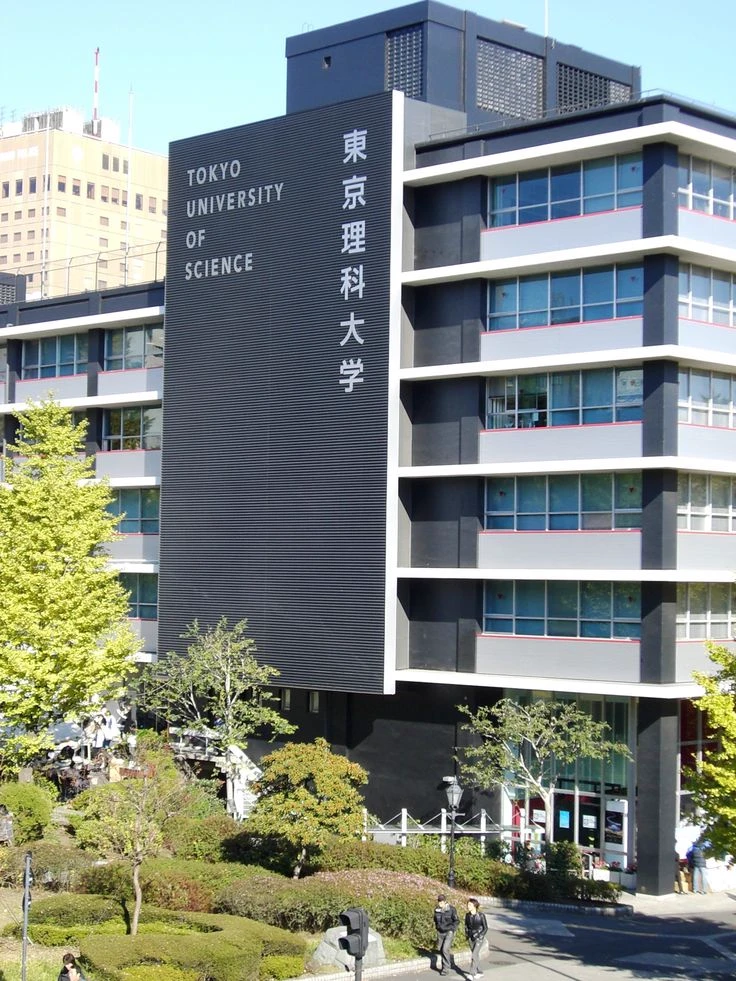kny university 2.0 thumbnail