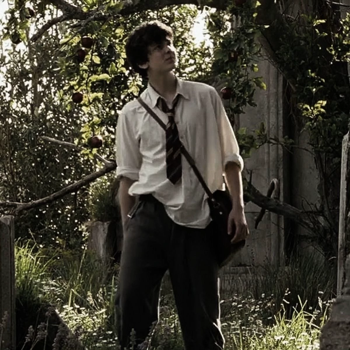 Edmund Pevensie thumbnail