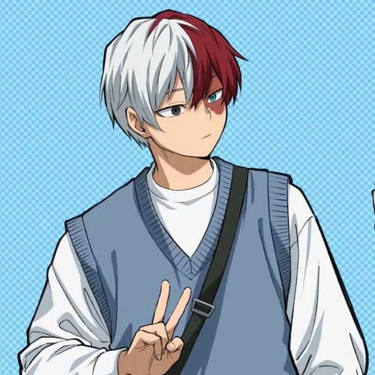 Todoroki thumbnail