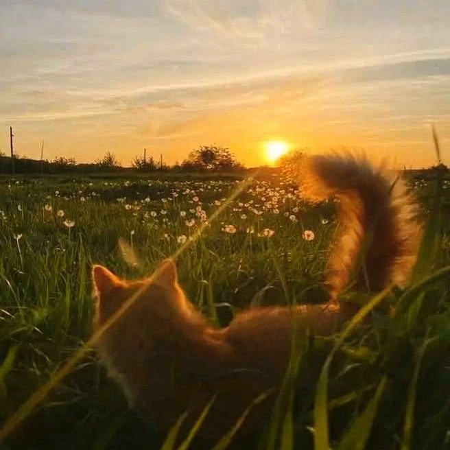 Женя