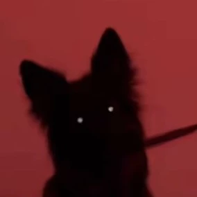 López