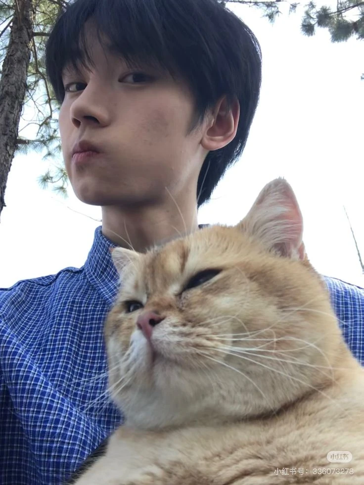 Ren-ren thumbnail
