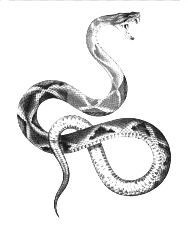 \[VC\] hybrid bat snake and Green Cobra of the Oasis thumbnail