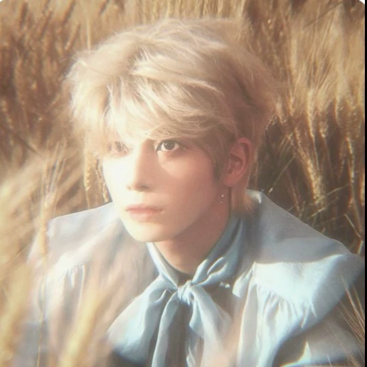   ₊˚ʚ ᗢ₊˚✧ ﾟ.