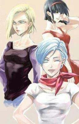 No. 18, Videl and Bulma thumbnail