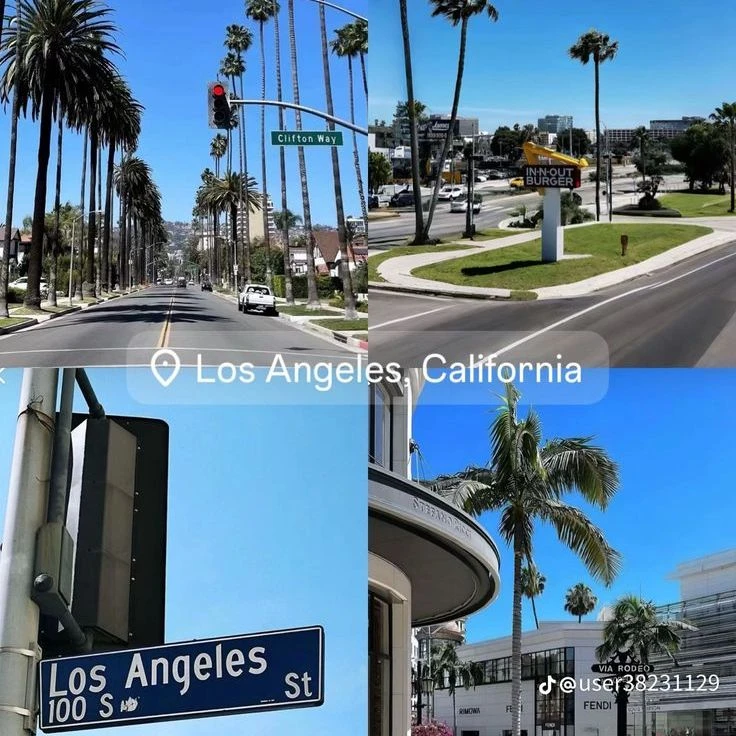 Los Angeles Vibes thumbnail