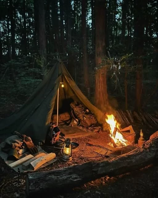 Summer camp of friends and love thumbnail