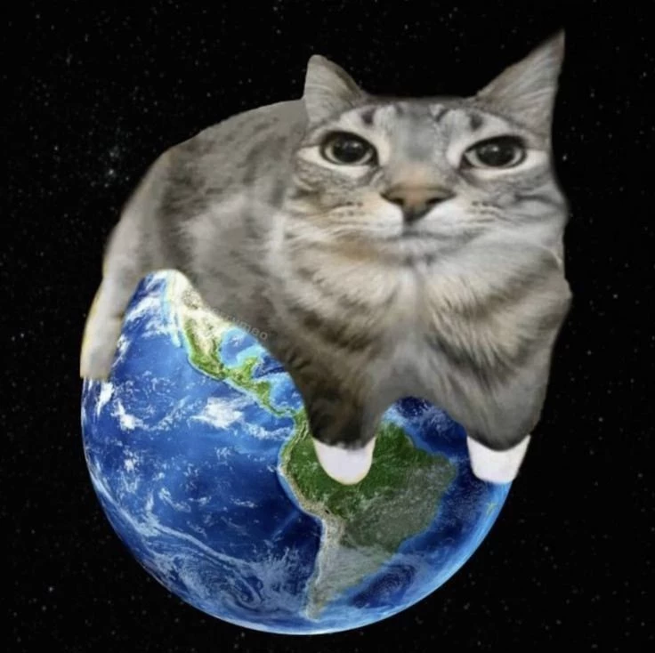 bwl world thumbnail