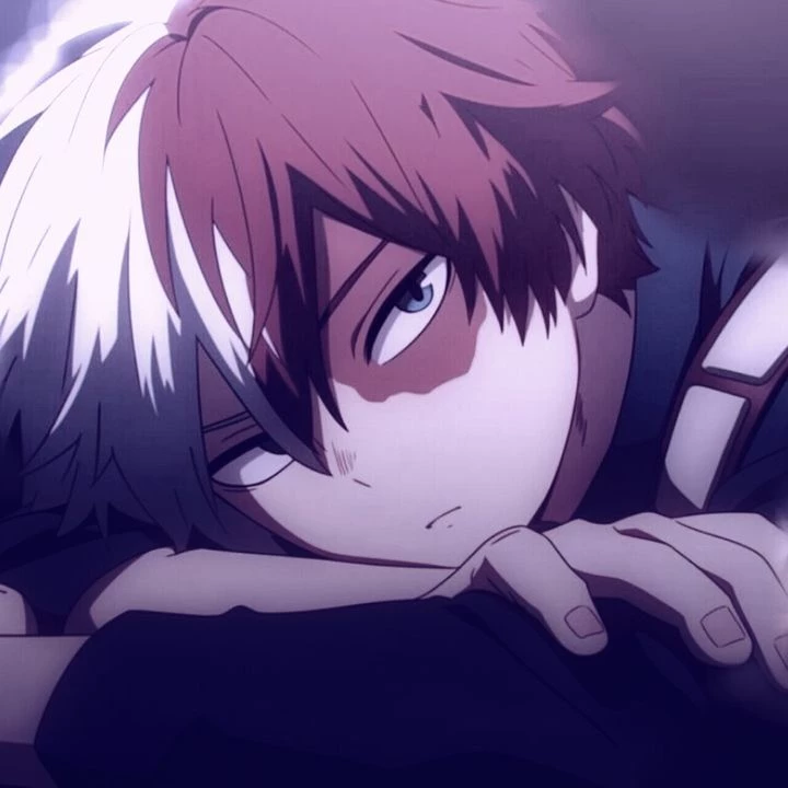 Shoto Todoroki  thumbnail