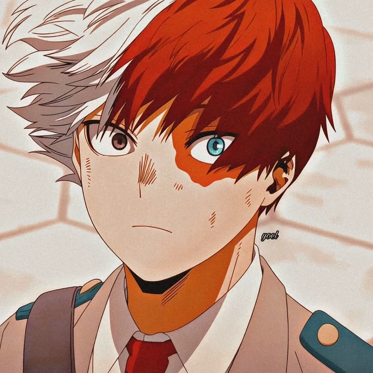 Shoto Todoroki  thumbnail