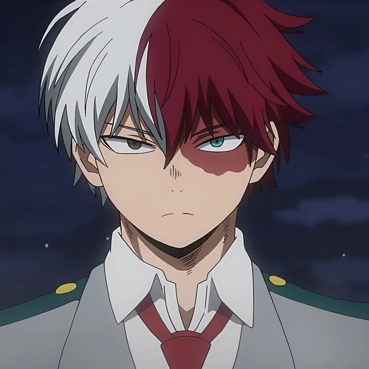 Shoto Todoroki  thumbnail