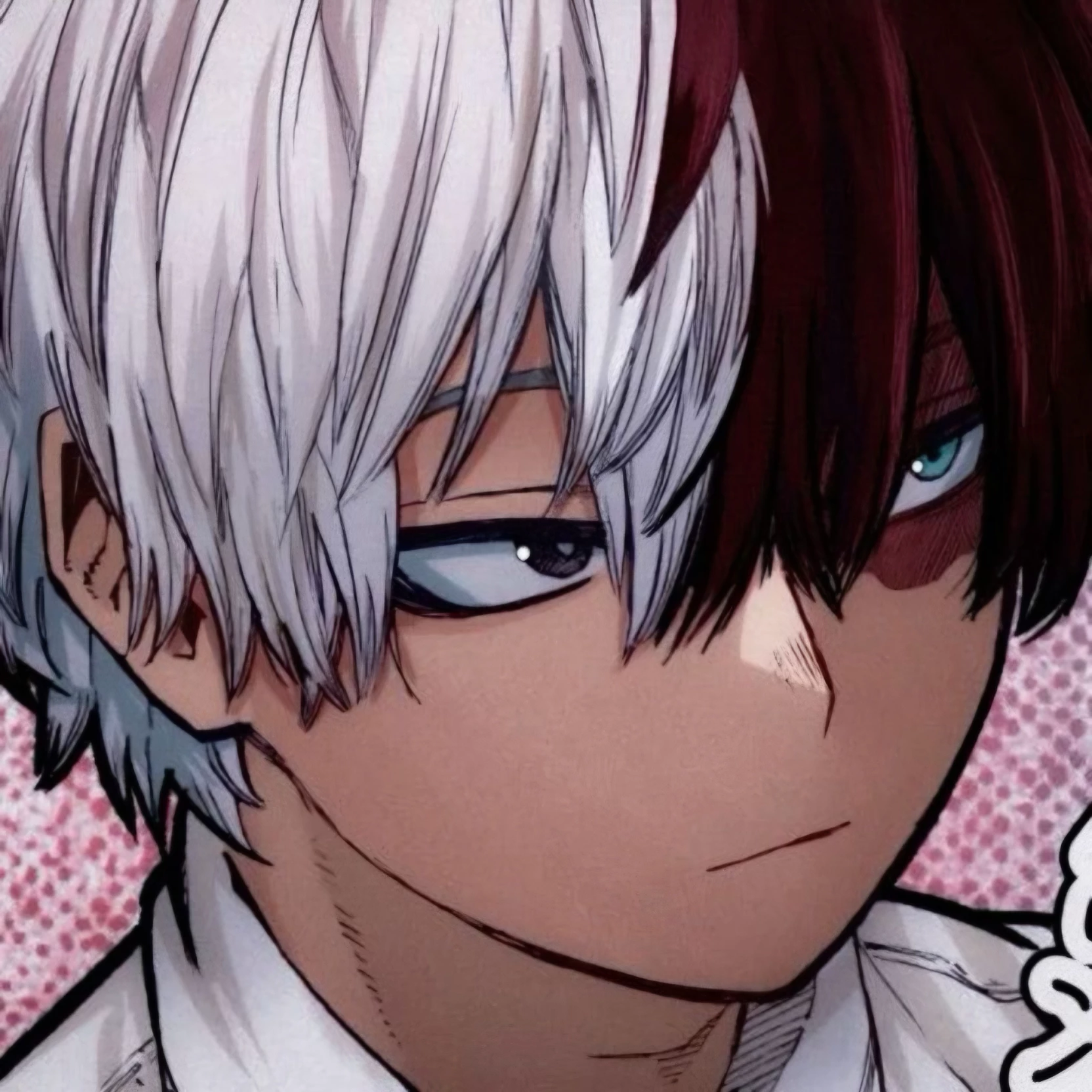 Shoto Todoroki thumbnail