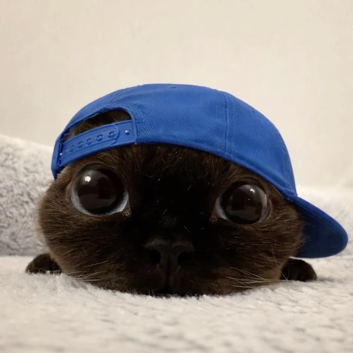 Ana