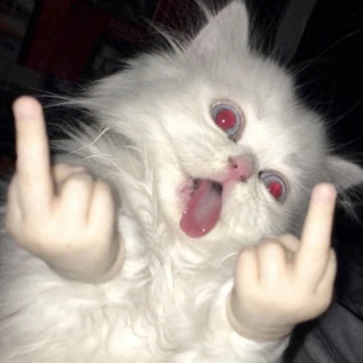jeo