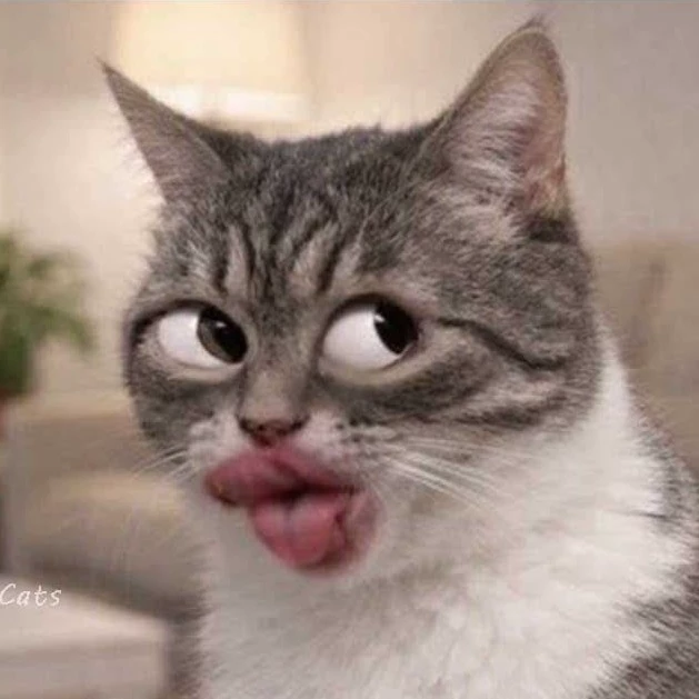 meowlingthon