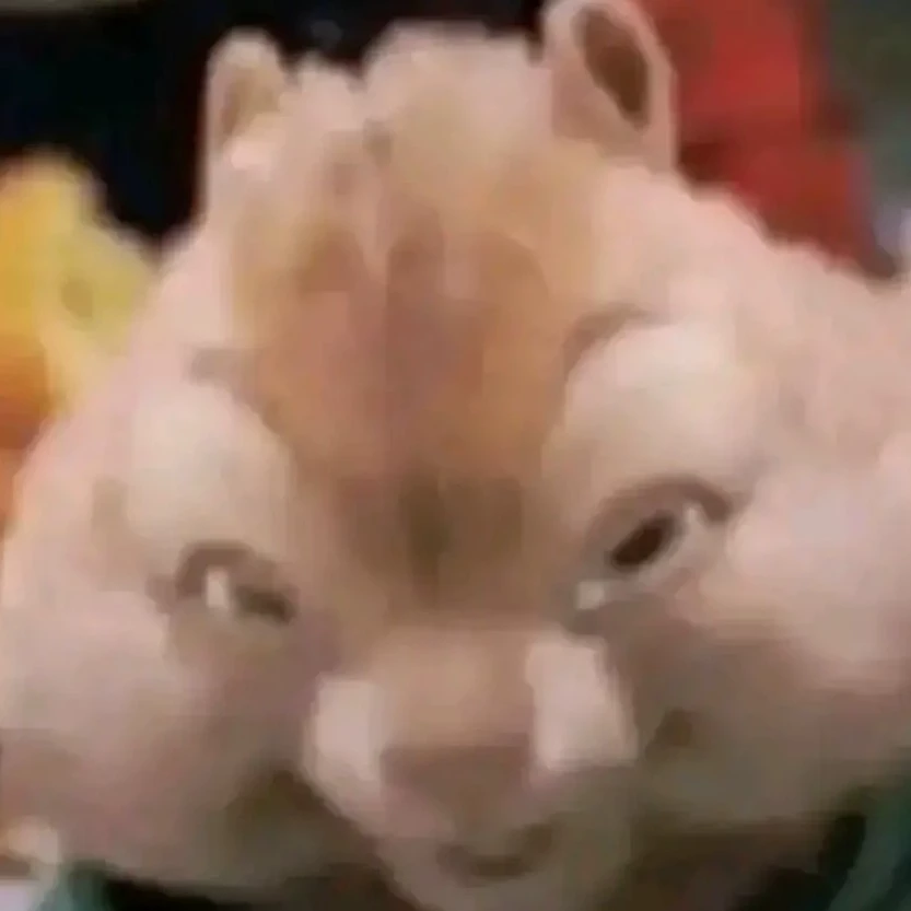 Kevin
