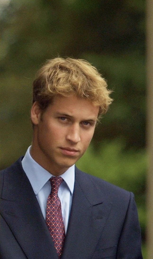 Prince William thumbnail
