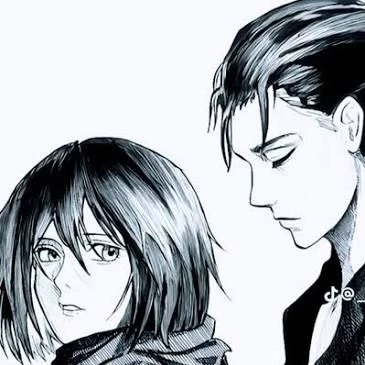 Mikasa thumbnail
