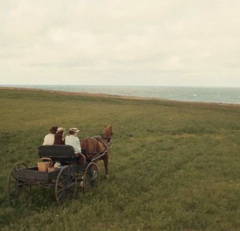 Avonlea Lunemont thumbnail