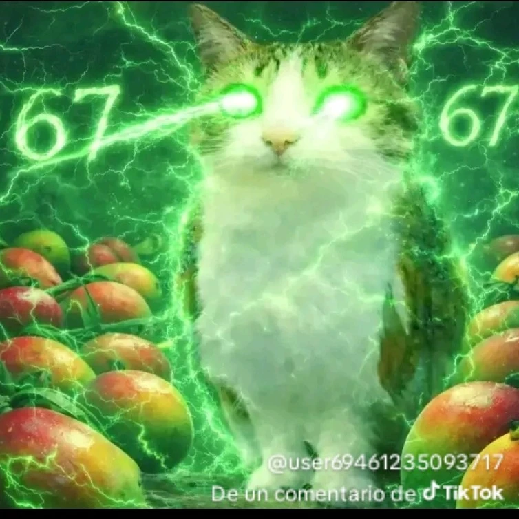 Meowl