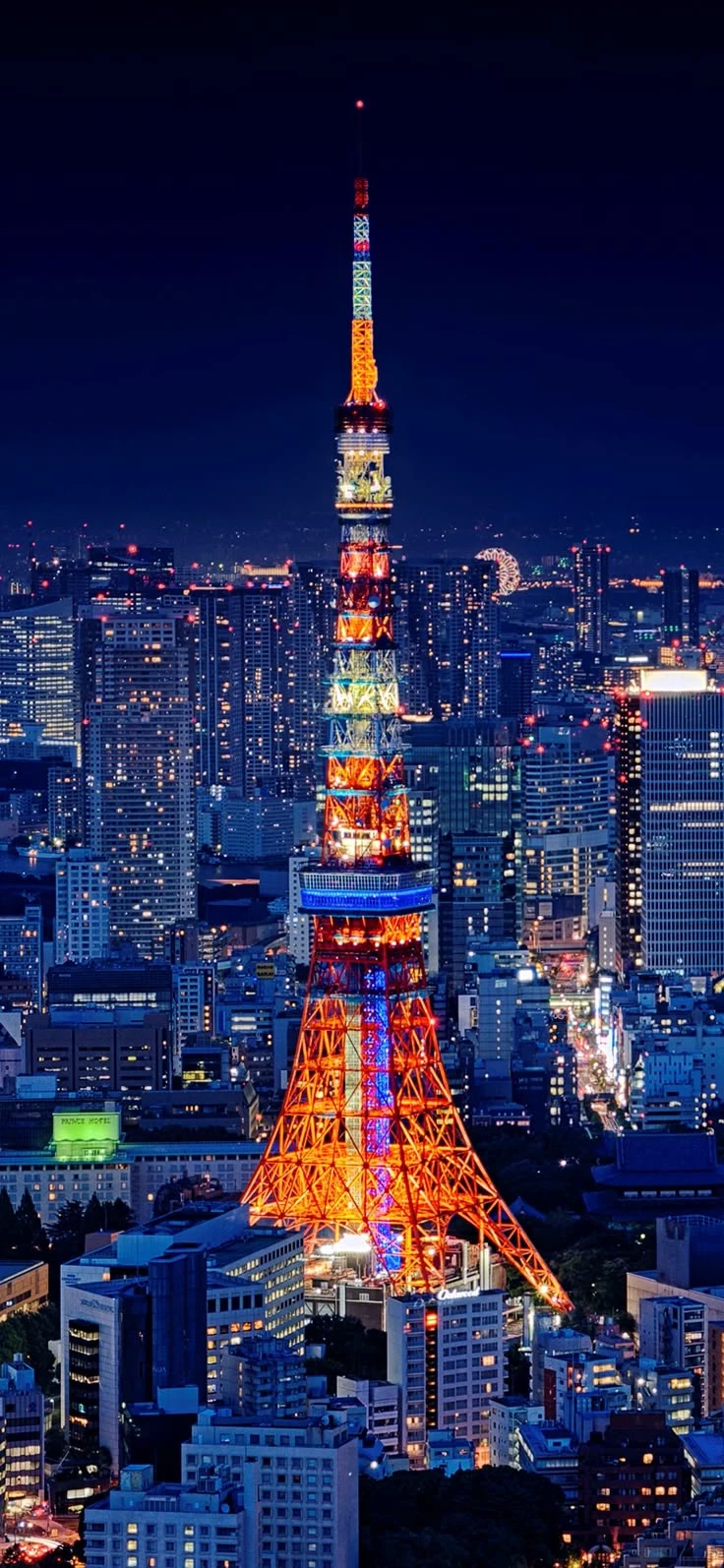 Your Life in Tokyo thumbnail