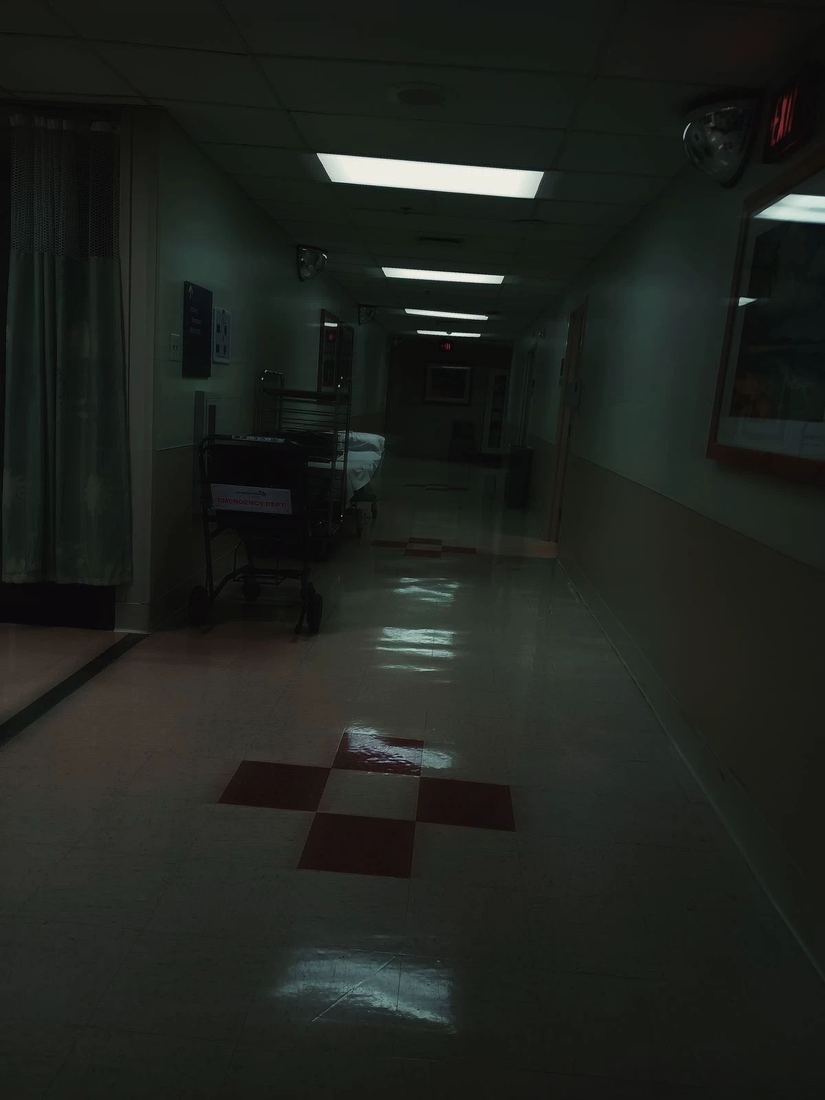The mental hospital  thumbnail