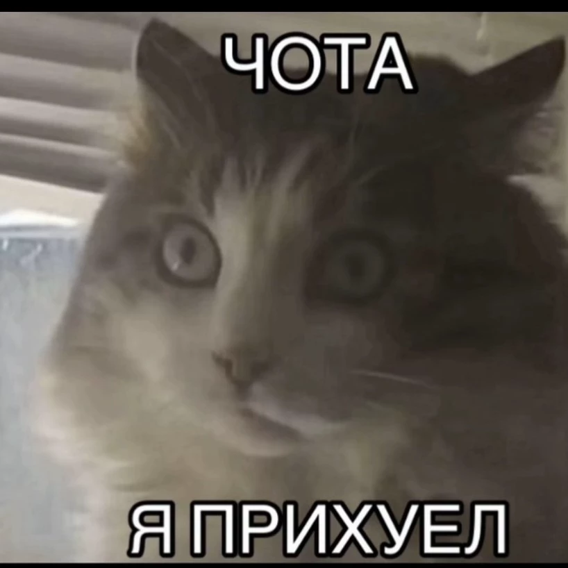 файсен ен