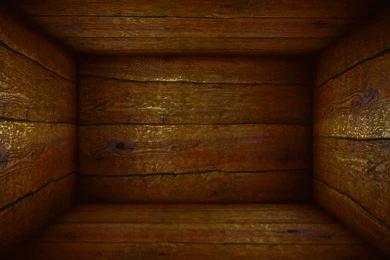 Inside a coffin thumbnail