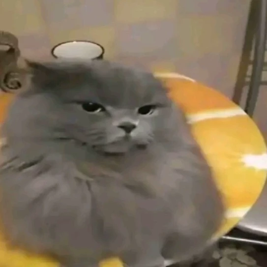 Юри