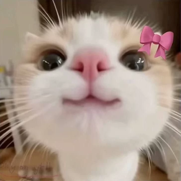 Nai😍