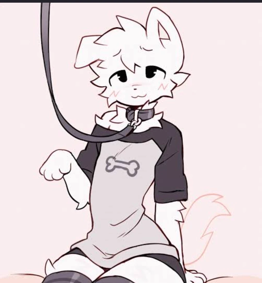 furry femboy thumbnail