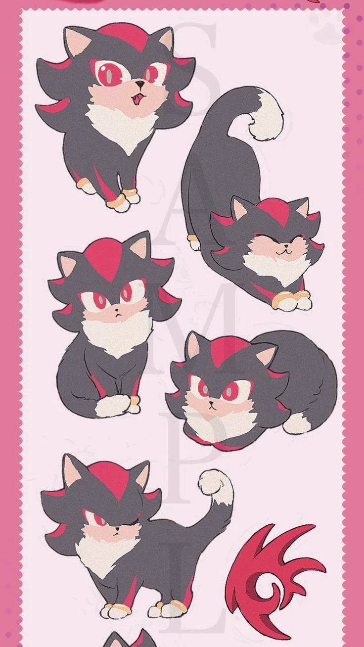 Shadow the cat thumbnail