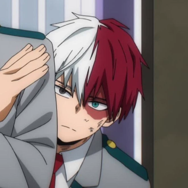 ❄️todoroki🔥 thumbnail