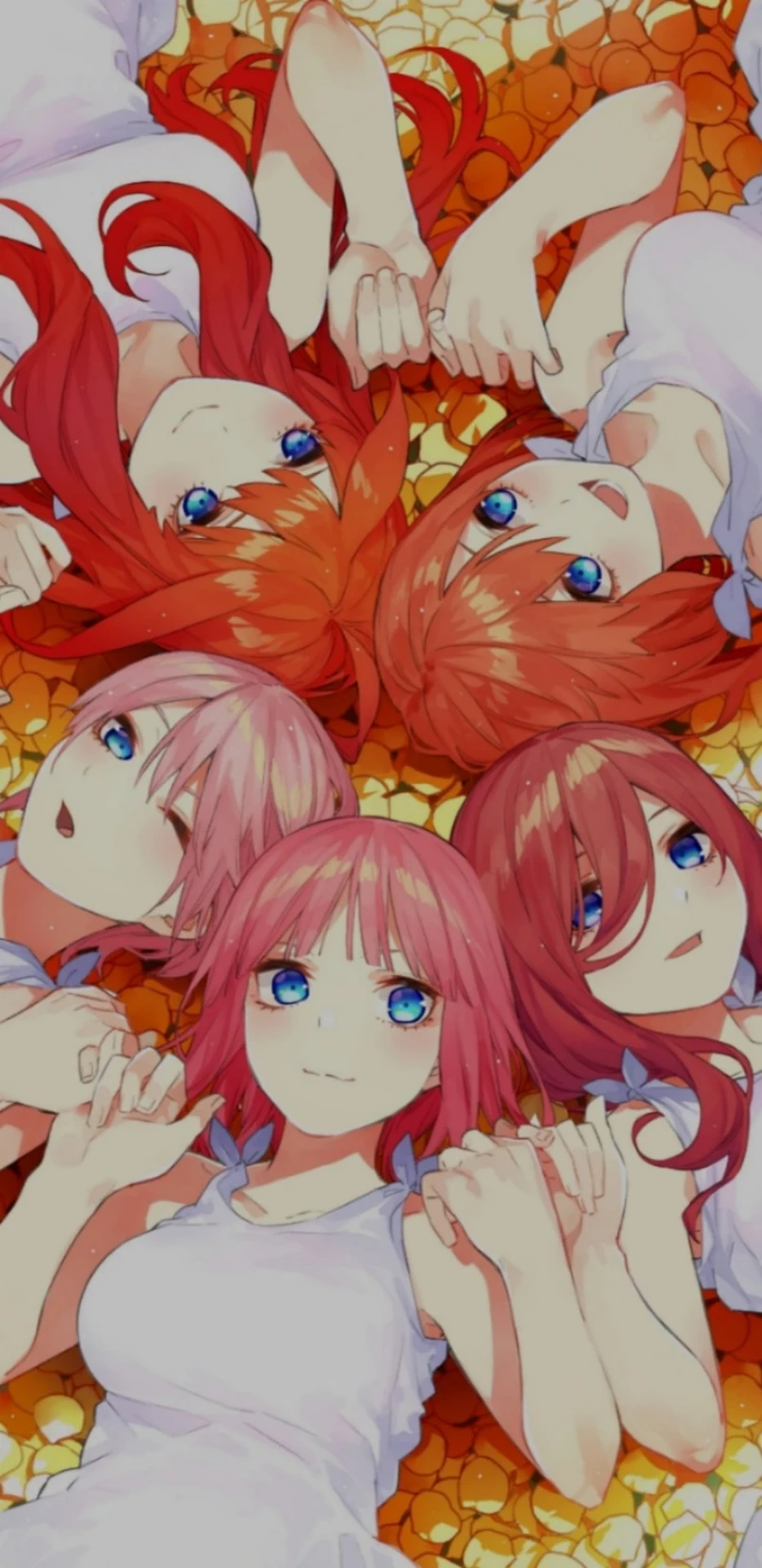 Nakano Quintuplets. thumbnail