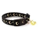 TF Collar thumbnail