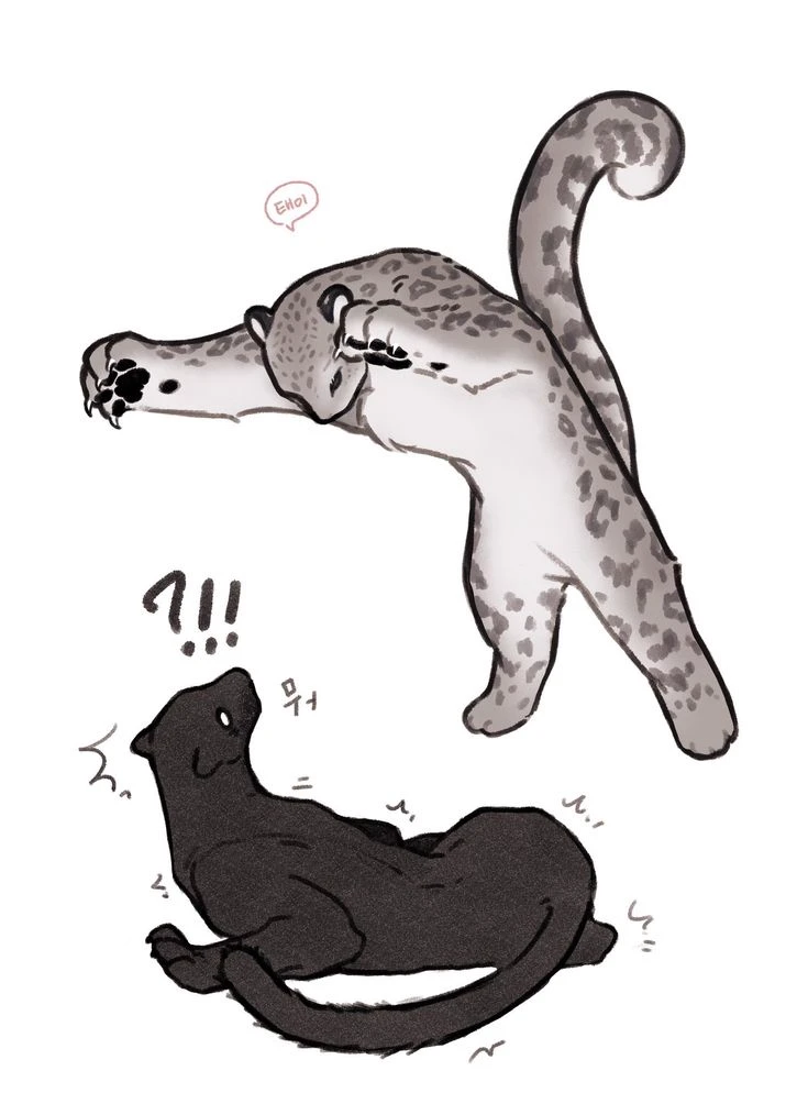 Kiel Leopard BL thumbnail