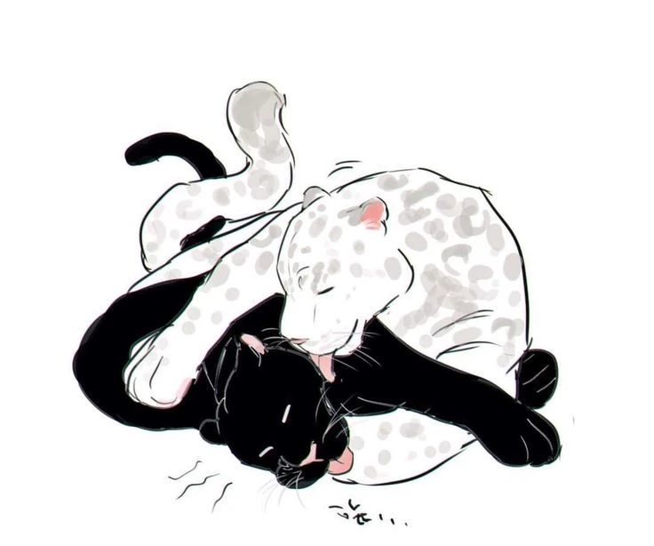 Yuki the Leopard thumbnail