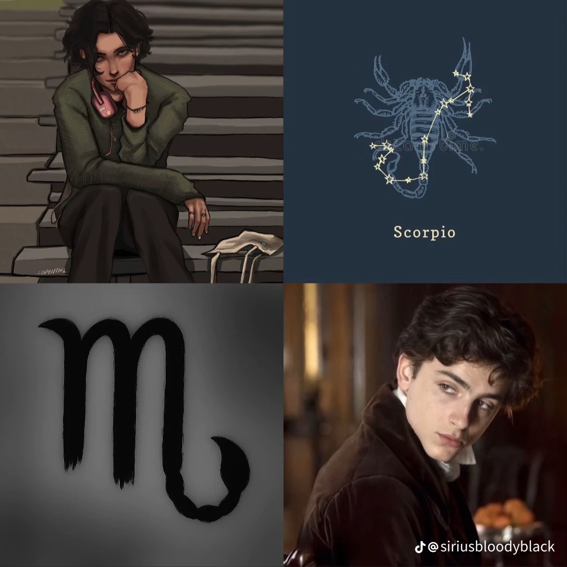 regulus black thumbnail