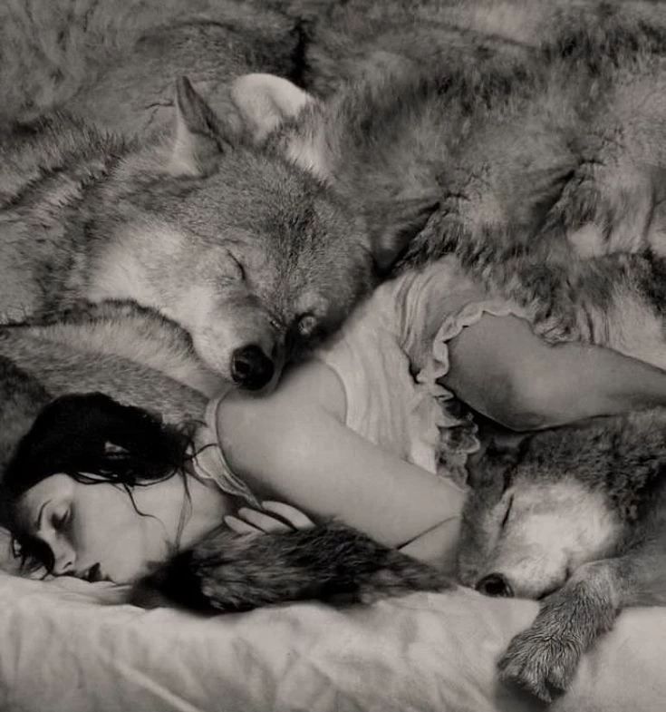 Wolves ｡⁠: ♥ :⁠ ｡ thumbnail