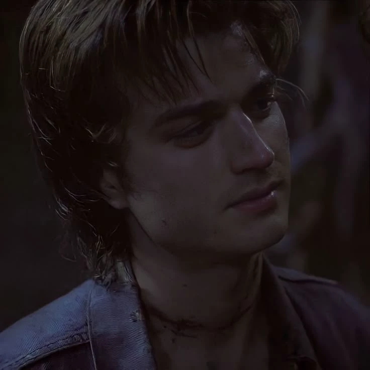 Steve Harrington thumbnail