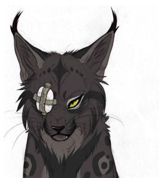 Axel thumbnail