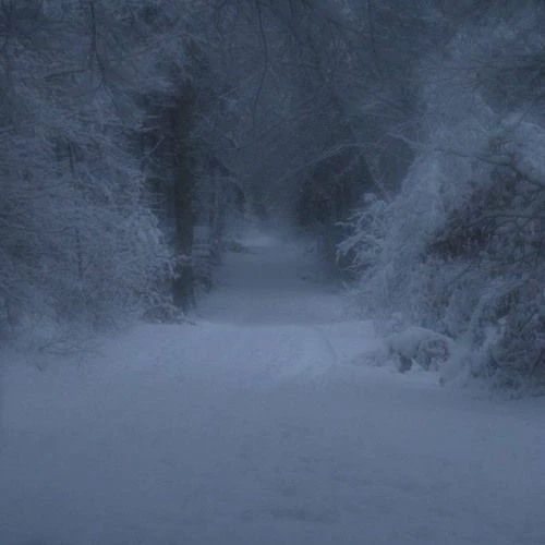 Winter War thumbnail