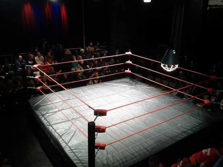 ADA - fight ring thumbnail